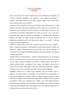 09 - PEMBA.pdf